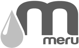 Mount Meru Group
